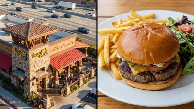 Lazy Dog Restaurant and Bar on Grand Parkway in Richmond, TX